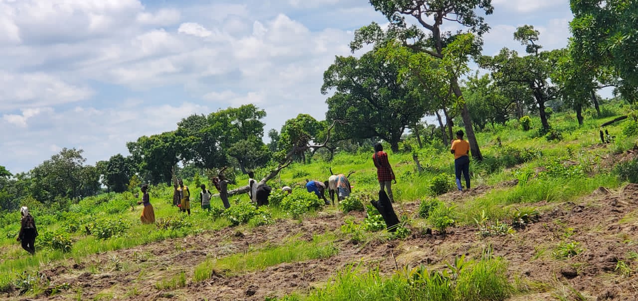 Farming for Livelihood